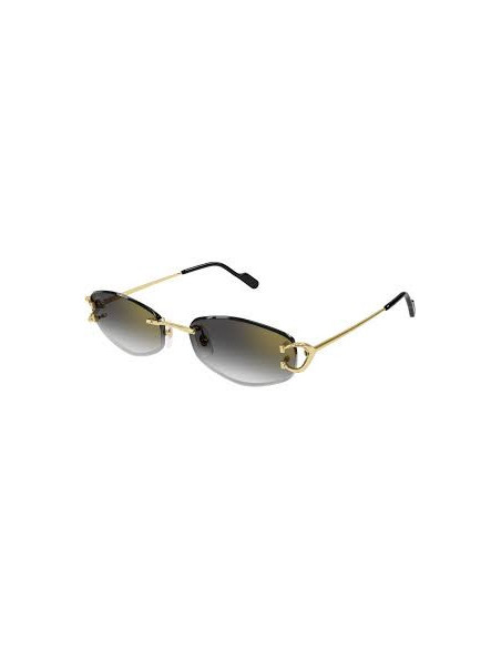 OCCHIALI CARTIER CT0467 001
