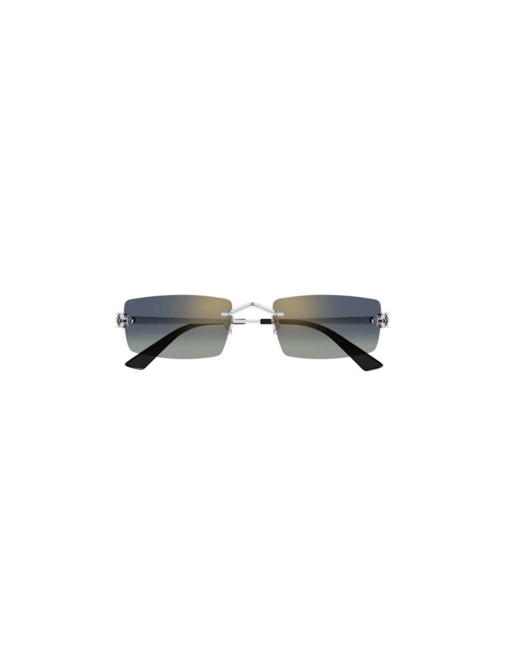 CARTIER - CT0598S- 003