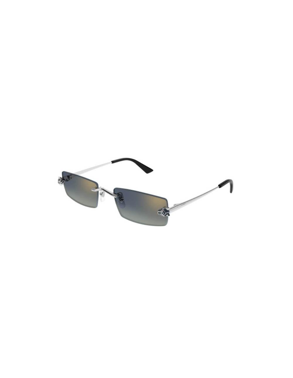 CARTIER - CT0598S- 003