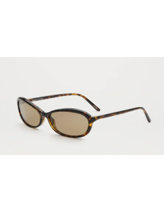 CHIMI - Florence - Sienna tortoise 2